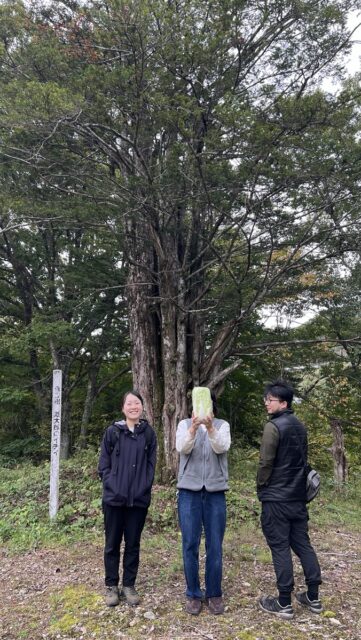 森の長老たちに会いに行く日🌳